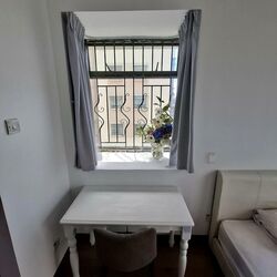 Twin Heights (D12), Apartment #498213971